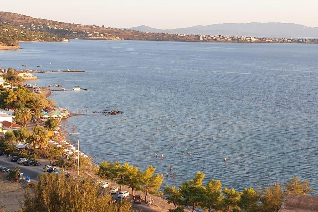Appartement Avec Vue Aegina Экстерьер фото